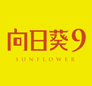 向日葵9