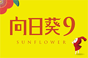 向日葵9