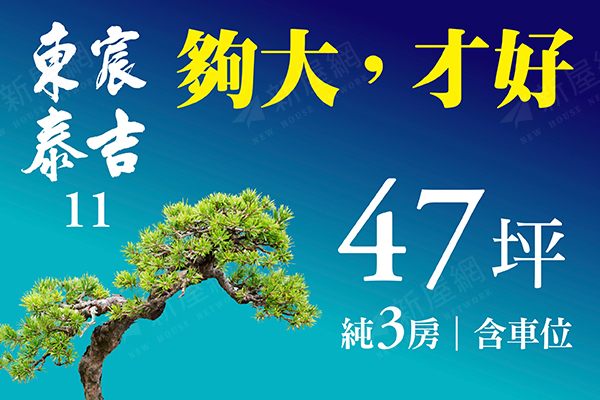 東宸泰吉11